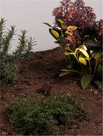 Aplice exterior - SENTO aplica exterioara 9050733