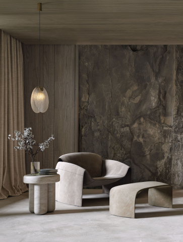 Decorative - SHELINA