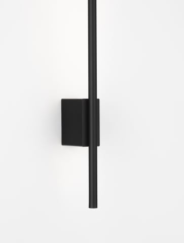 Decorative - TIEN