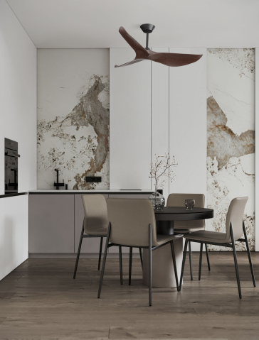 Decorative - VENTRA