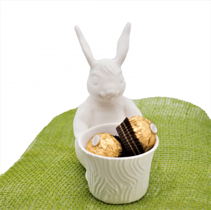 Chocolate container bunny [1]
