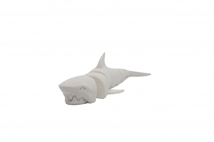 Flexi Shark - Alb [1]