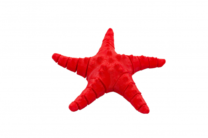 Flexi Starfish - Rosu [1]