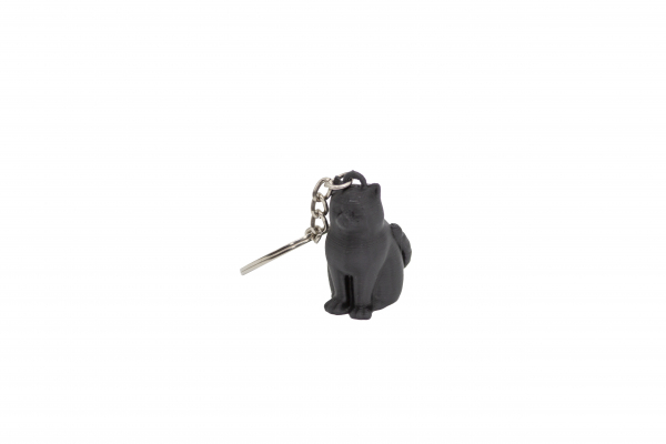 Black cat keychain [1]