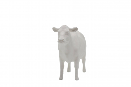 Set de pictat figurina de Vacă, culori acrilice 6x3ml [0]