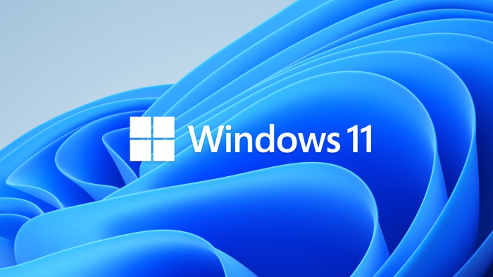Instalare Windows 11 Pro/Home în service [2]