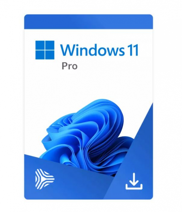 Microsoft Windows 11 Pro retail [1]