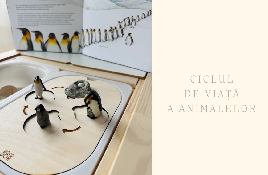 Ciclul de viata a animalelor