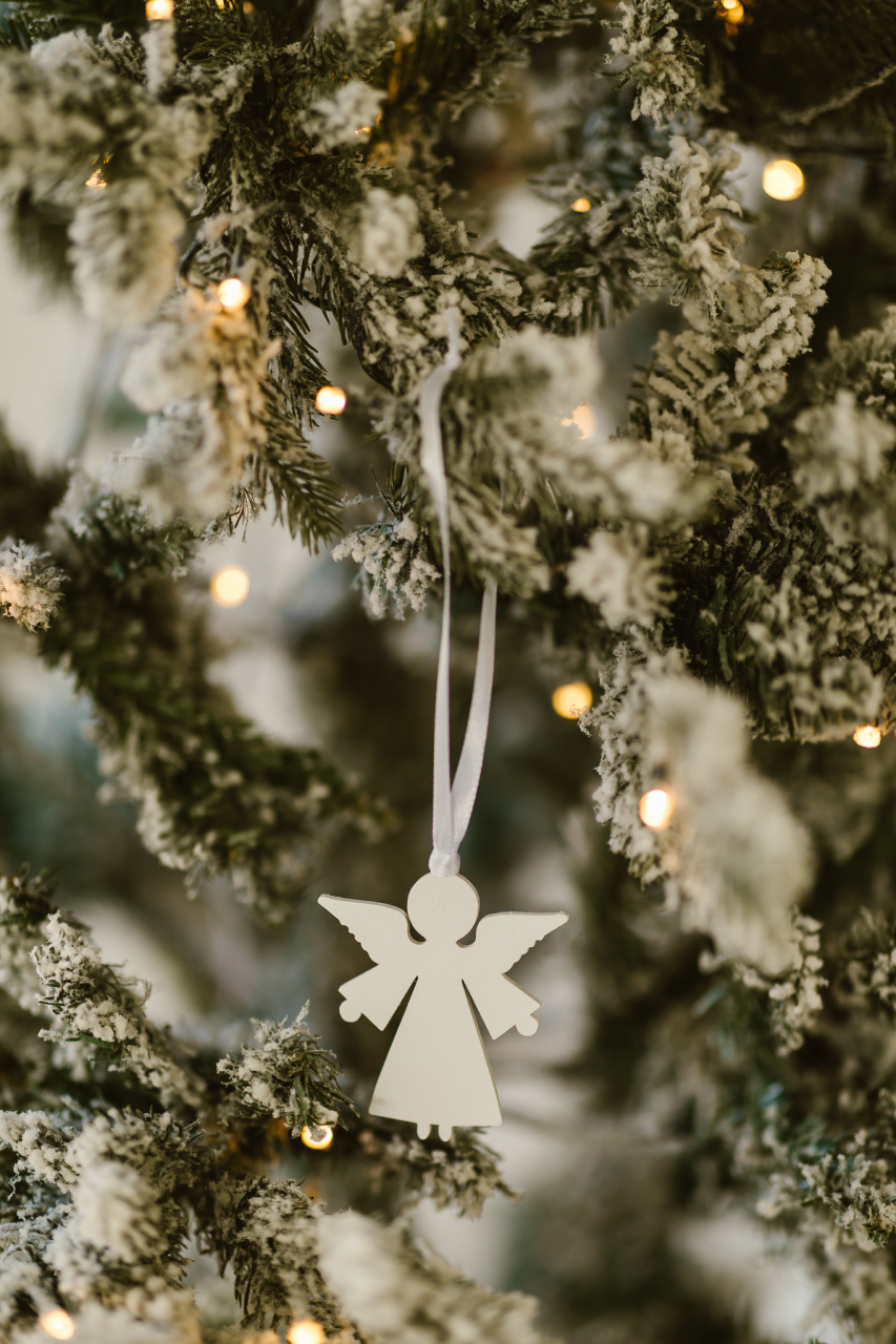 Set 10 ingerasi albi [1]