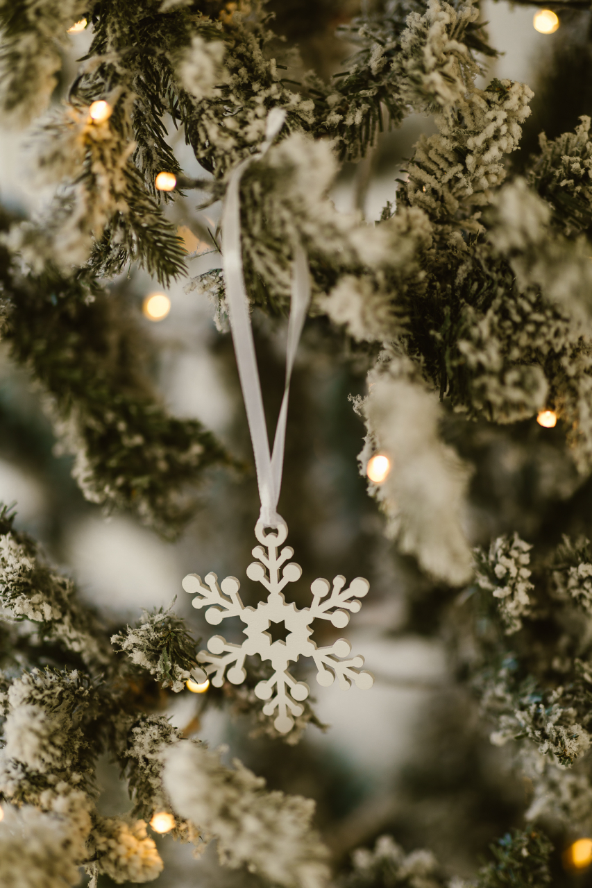 Set 5 fulgi albi [2]