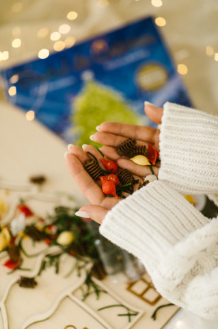 Bradul de Craciun [2]