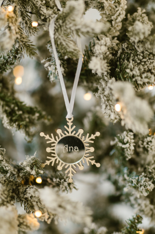 Fulg lemn - plexi [5]