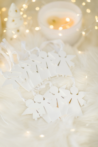 Set 10 ingerasi albi [1]