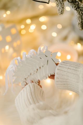 Set 10 ingerasi albi [3]