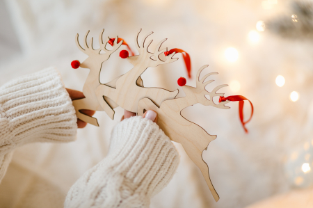 ORNAMENTE CRACIUN - Set 3 reni