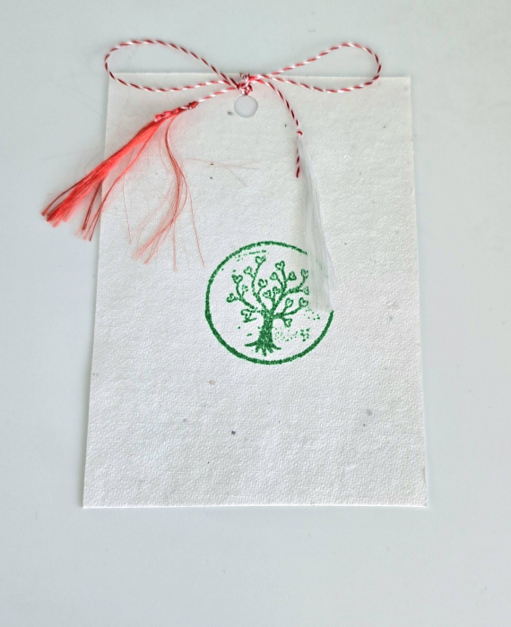Set 10 Mărțișoare din hârtie plantabilă [4]