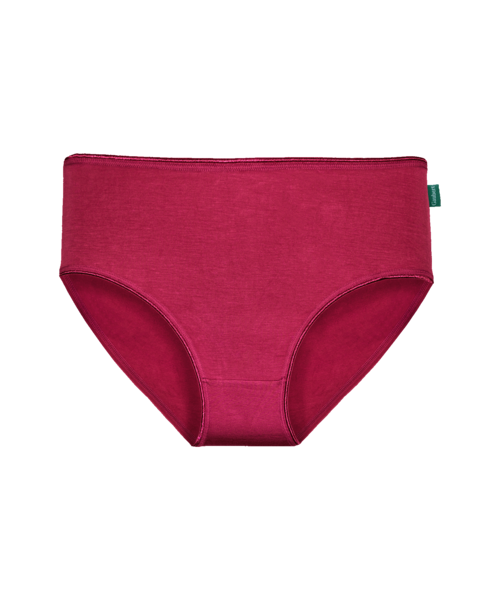 Set 5 Chiloți Bambus DAMĂ talie medie [3]