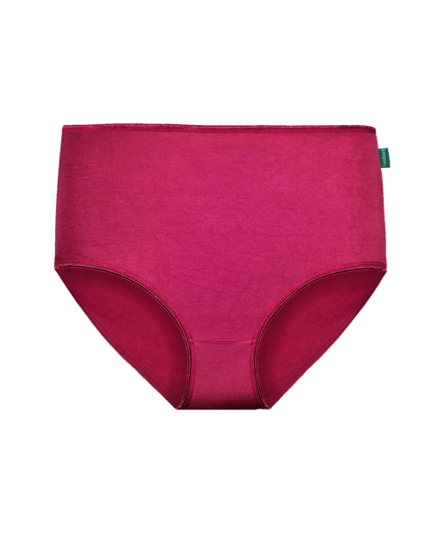 Set 5 Chiloți Bambus DAMĂ talie INALTA [5]