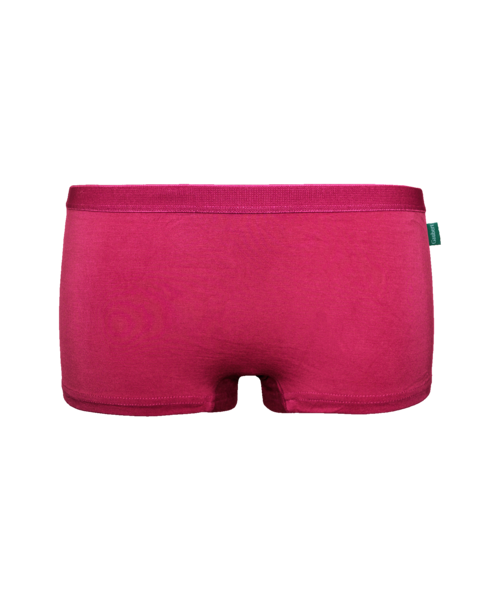 Set 5 Chiloți Bambus DAMĂ talie MEDIE, cu dantela [4]