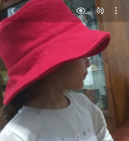 Pălărie de lână fiartă cu boruri fixe, pentru copii și damă [1]