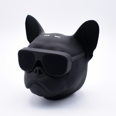 Audio-Video & Foto - BOXA PORTABILA BULLDOG