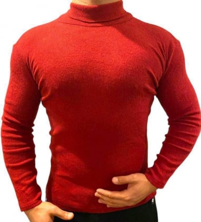 Bluze - Bluza barbati, cu gat inalt