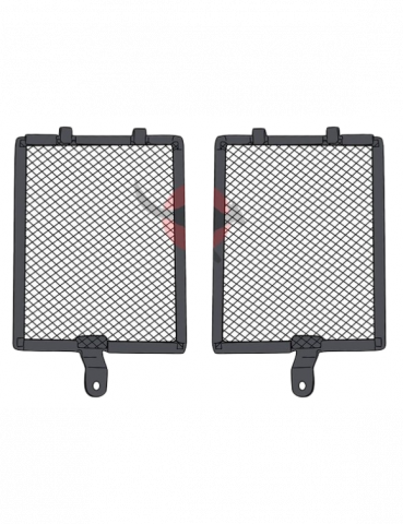 Grila Radiator - Protectie Radiator Givi BMW R 1300 GS (24-)