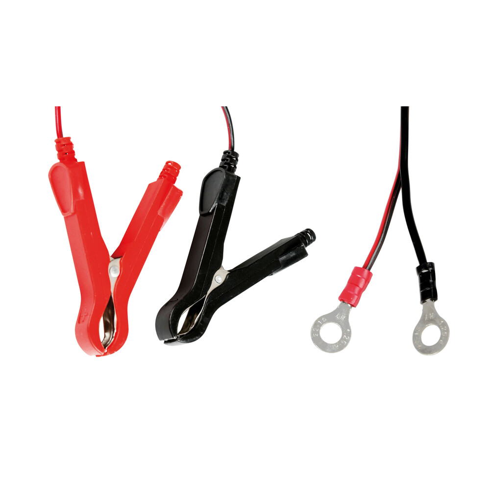 Incarcator inteligent pentru baterie, 6/12V - 1A -Amperomatic Bike [2]