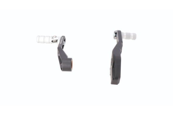 Pedala Frana si schimbator de viteze BMW F 900 R (19-) [1]