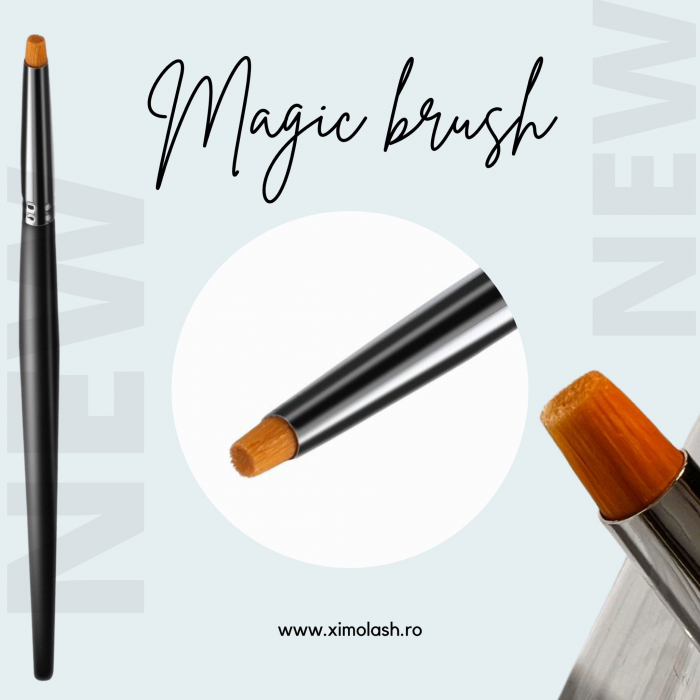 Magic Brush [1]