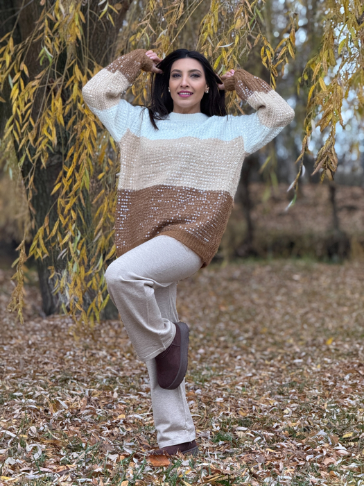 Bluza cu paiete mari [1]