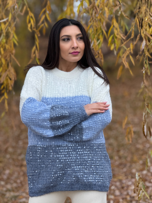 Bluza cu paiete mari [3]