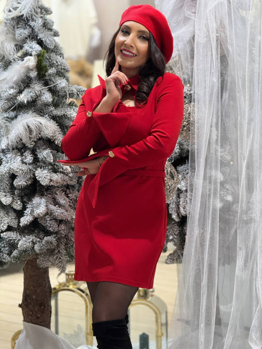 Rochie cu guler si decoltteu [7]