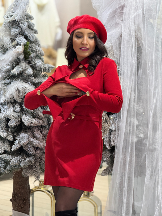 Rochie cu guler si decoltteu [4]