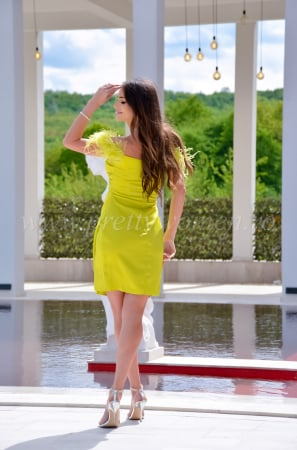 Rochie scurta cu pene [4]