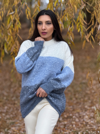 Bluza cu paiete mari [1]