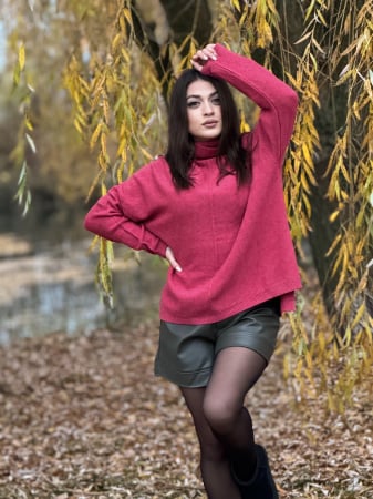 Promotii - Bluza zmeura cu gat inalt