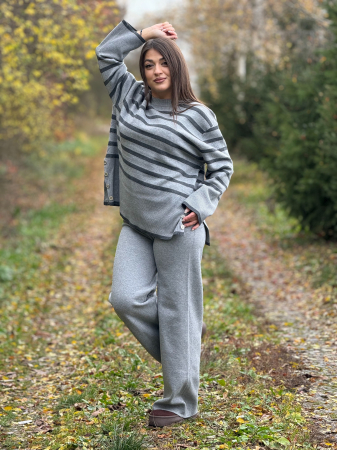 Compleu cu dungi [2]