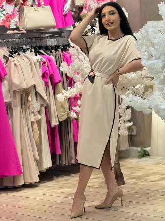 Rochie cu dunga neagra [2]