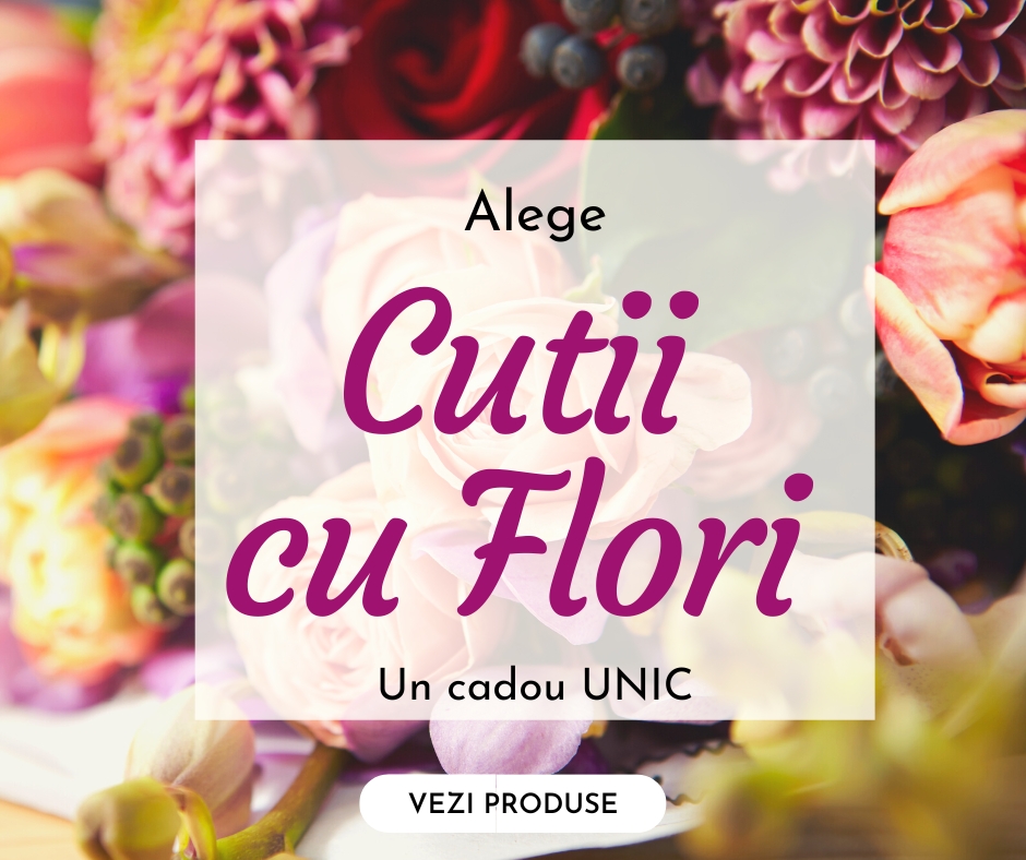 Zen flowers.ro Flower Shop Bucuresti creativ, folosim doar flori