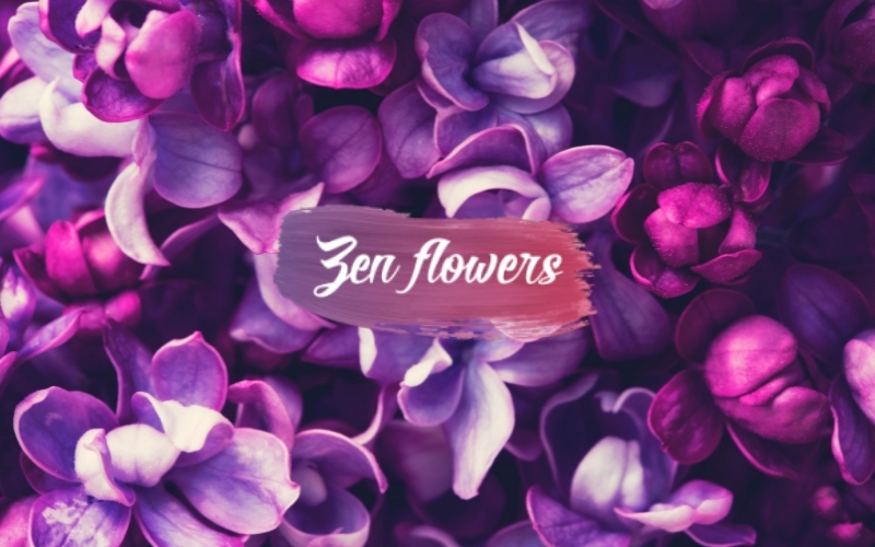 Zen Flowers – O florărie născuta din iubire și pasiune