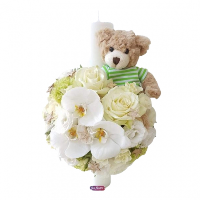 Baby bear [2]
