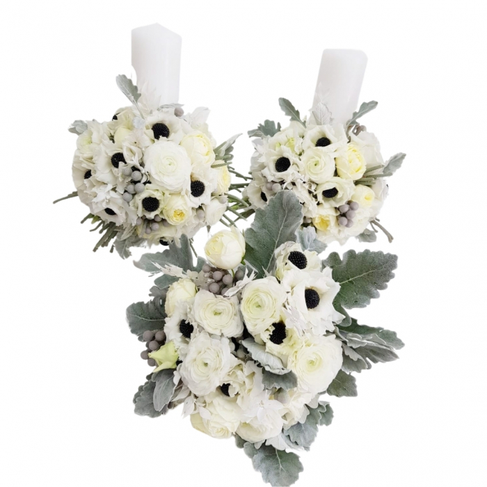pachet anemone [2]