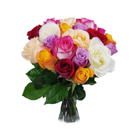 TRANDAFIRI - 25 Trandafiri mixt