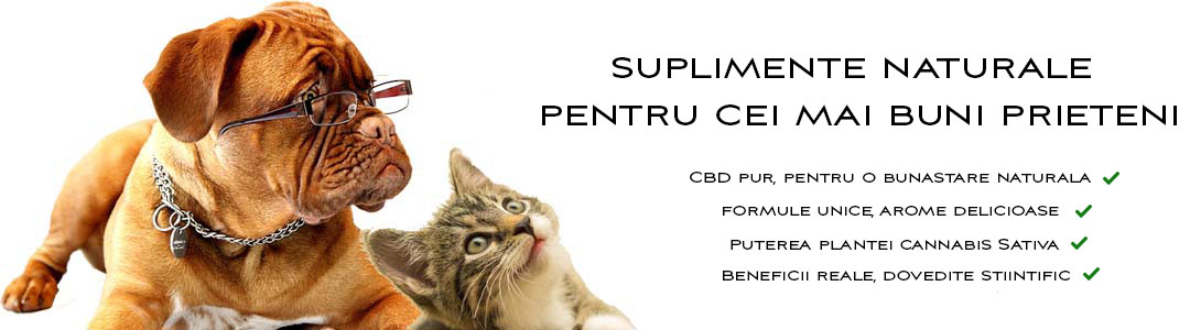 Suplimente Naturale, Ulei CBD pentru Caini si Pisici, cu CBD pur - ZeN Float .Ro