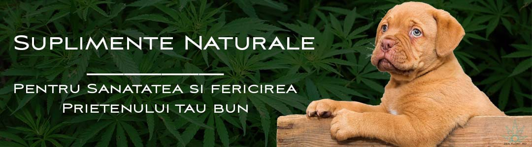 Suplimente Naturale pe baza de extract de Cannabis Sativa - Ulei CBD pentru caini - ZeN Float .RO
