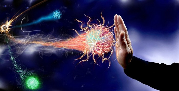 Cum functioneaza Sistemul Imunitar impotriva virusi bacterii