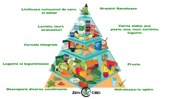 alimentatie sanatoasa protectie sistem imunitar