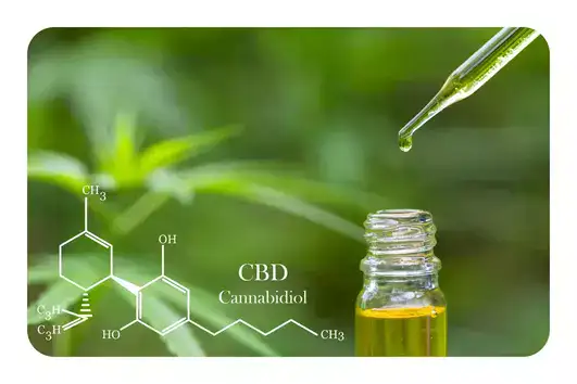 Proprietati CBD Canabidiol - ulei de Cannabis Sativa Canepa