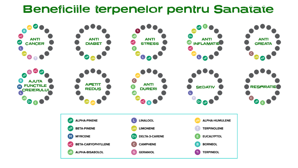 beneficiile terpenelor pentru sanatate